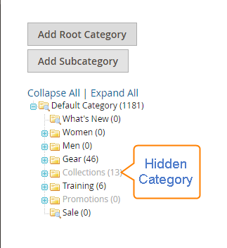 hidden category magento2