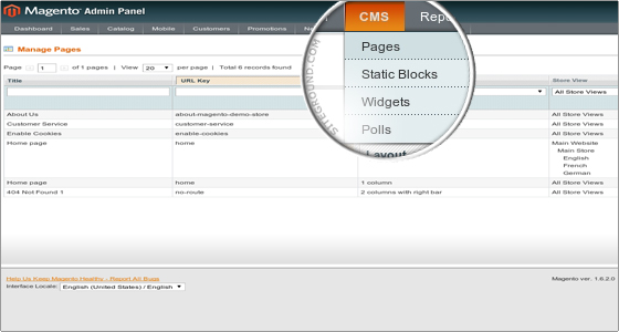 creare e gestire le pagine-1