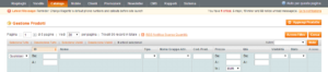 Inserimento prodotti Magento