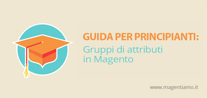 Guida gruppi attributi magento