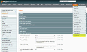 canonical-tag-magento