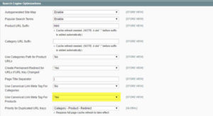 canonical-tag-magento