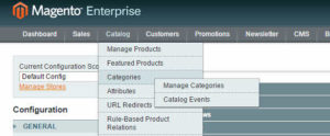 canonical-tag-magento