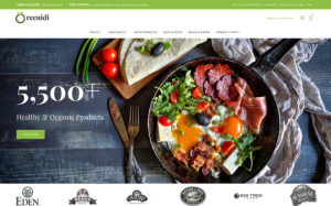 64136-template-magento-recuidi