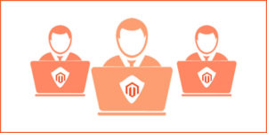 Sviluppatore-Magento